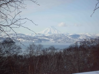 пурга